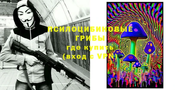 спайс Новодвинск