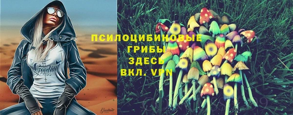 спайс Новодвинск