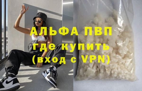 шишки Грязовец