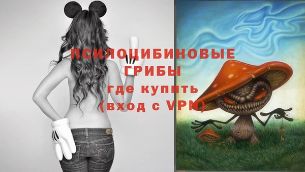 бошки Новозыбков