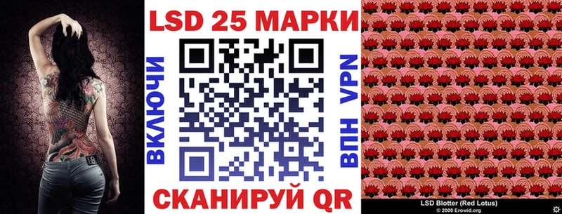 где купить наркоту  гидра ссылка  Марки N-bome 1,8мг  Терек 
