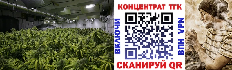 ссылка на мегу ТОР  Терек  Дистиллят ТГК THC oil  хочу наркоту 