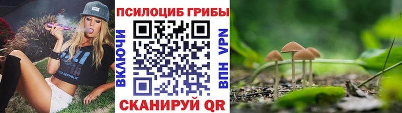 купить наркотик  площадка как зайти  Галлюциногенные грибы ЛСД  Терек  МЕГА сайт 