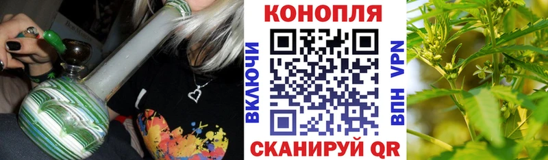 цена   Терек  Конопля Bruce Banner 